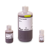 Sanger Dye Terminator Removal