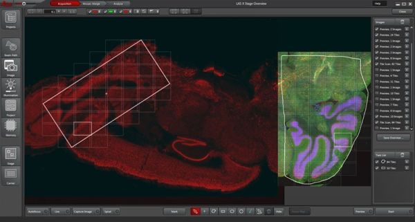 Platforma Software de Microscop LAS X Life Science 
