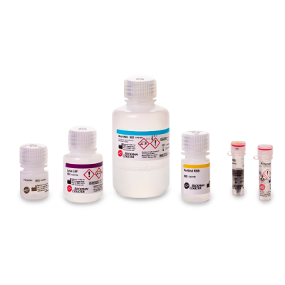 Kit de Extragere a RNA-ului RNAdvance Blood