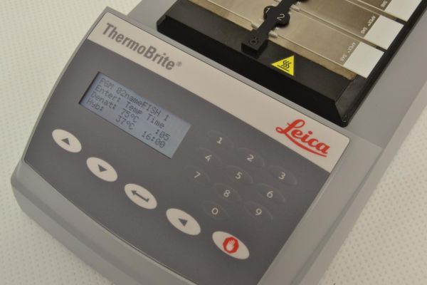 ThermoBrite
